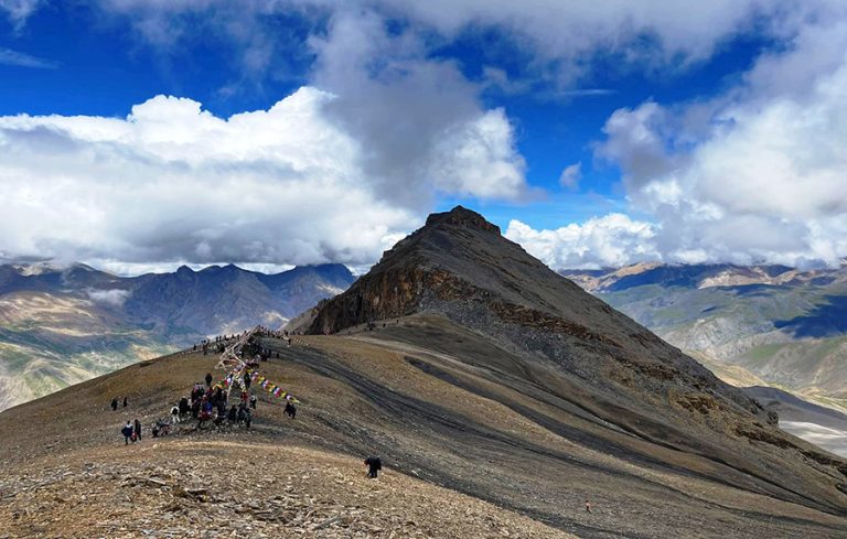 कर्णालीमा जडीबुटीबाट ४ करोड राजस्व, झ्याउदेखि यार्सासम्मको कारोबार
