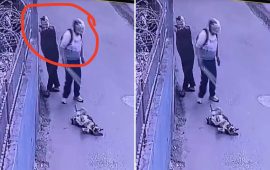 को हुन् यी, जो सडकमा सुतिरहेको कुकुरमाथि अन्धाधुन्ध रडले कुट्छन् ?