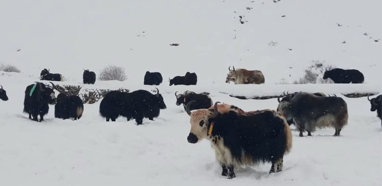 कर्णालीमा वर्षा जारी, सबै जिल्लामा चेतावनी