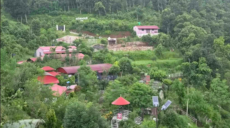 तनहुँको झाङ्गाझोलीमा जडीबुटी पर्यटन