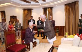 राष्ट्रपतिबाट बडादसैँको टीका ग्रहण