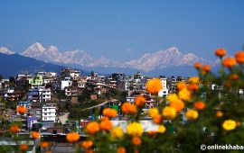 सयपत्री फुल्यो, हिमाल खुल्यो (फोटो फिचर)