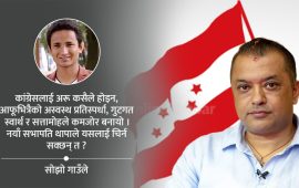 अनि मात्रै भन्नेछौं– कांग्रेसमा ‘रेनेसाँ’ भएकै हो