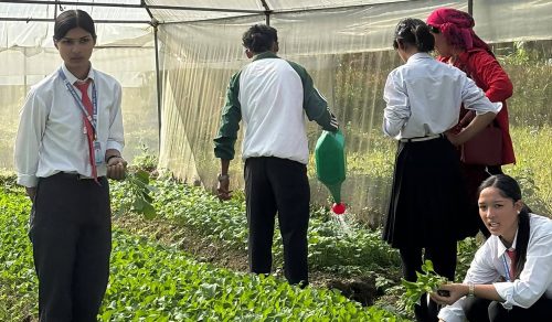 पढाइसँगै खेतीपातीमा रमाउँदै विद्यार्थी