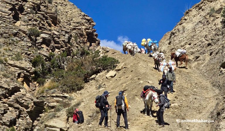 सडकले जोडिँदै माथिल्लो डोल्पा : सहज जनजीवन, पर्यटन र सीमापार व्यापारको नयाँ आशा